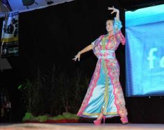 Foto de la galería: Natalia Burgen de la colectividad suiza es la nueva Reina de la Fiesta Nacional del Inmigrante