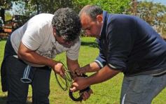Foto de la galería: Empleados del hipermercado Libertad celebraron el Día del Empleado de Comercio