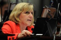 Foto de la galería: La Cámara de Diputados convirtió en ley el presupuesto provincial 2014