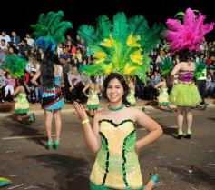 Foto de la galería: Segunda noche de la Estudiantina a pura fiesta