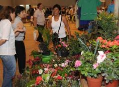 Foto de la galería: 6ª edición de la Expo Mujer
