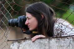 Foto de la galería: Rosamonte, rumbo al tricampeonato