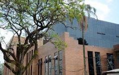 Foto de la galería: 2 de Abril, monarca capitalino