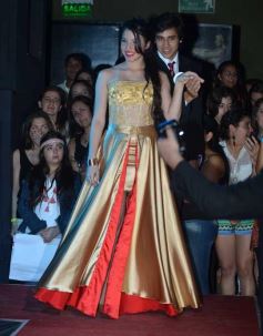 Foto de la galería: Elección de reinas y reyes departamentales de la estudiantina 2013