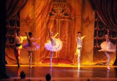 Foto de la galería: Gala Anual de Escuela Danzana Estudio-Ballet dirigida por la profesora Ana María Escalada