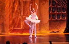 Foto de la galería: Gala Anual de Escuela Danzana Estudio-Ballet dirigida por la profesora Ana María Escalada