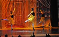 Foto de la galería: Gala Anual de Escuela Danzana Estudio-Ballet dirigida por la profesora Ana María Escalada