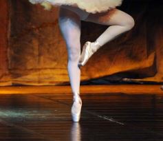 Foto de la galería: Gala Anual de Escuela Danzana Estudio-Ballet dirigida por la profesora Ana María Escalada