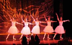 Foto de la galería: Gala Anual de Escuela Danzana Estudio-Ballet dirigida por la profesora Ana María Escalada