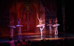 Foto de la galería: Gala Anual de Escuela Danzana Estudio-Ballet dirigida por la profesora Ana María Escalada