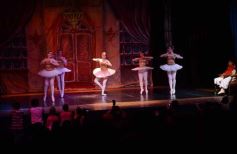 Foto de la galería: Gala Anual de Escuela Danzana Estudio-Ballet dirigida por la profesora Ana María Escalada