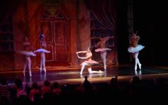 Foto de la galería: Gala Anual de Escuela Danzana Estudio-Ballet dirigida por la profesora Ana María Escalada