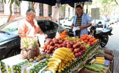 Foto de la galería: Paseos y trabajos en Posadas