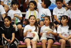 Foto de la galería: Fiesta de Educación Física del Colegio Del Carmen en el Instituto Provincial de Deportes
