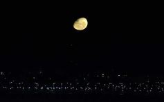 Foto de la galería: Noche inaugural de la 44º edición del Festival del Litoral