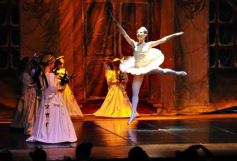 Sixto Fotografías. Sociedad. Instituto Montoya - Gala Anual de Escuela Danzana Estudio-Ballet dirigida por la profesora Ana María Escalada