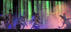 Foto de la galería: Última noche de la 44ª edición del Festival del Litoral