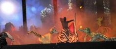 Foto de la galería: Última noche de la 44ª edición del Festival del Litoral