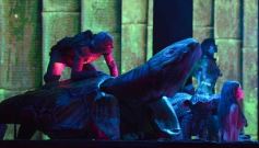 Foto de la galería: Última noche de la 44ª edición del Festival del Litoral