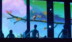 Foto de la galería: Última noche de la 44ª edición del Festival del Litoral