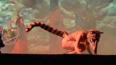 Foto de la galería: Última noche de la 44ª edición del Festival del Litoral