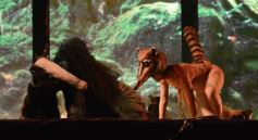 Foto de la galería: Última noche de la 44ª edición del Festival del Litoral