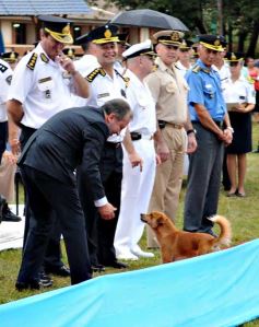 Foto de la galería: Acto de ascenso del personal policial en la Escuela Superior de Policía “General Manuel Belgrano”