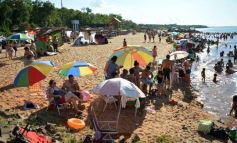 Foto de la galería: Paseos y trabajos en Posadas