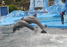 Sixto Fotografías. Sociedad. Varios - San Clemente del Tuyú: Mundo Marino y Playa!!!