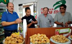 Sixto Fotografías. Sociedad. La Ruta de la Yerba - Panificados Maná sacó a la venta productos panificados con sabor a yerba mate