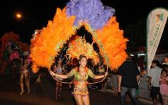 Foto de la galería: Carnaval en San Javier