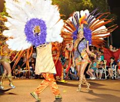 Foto de la galería: Carnaval en San Javier