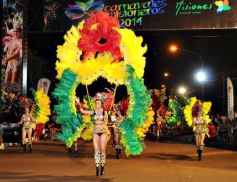 Foto de la galería: Carnaval en San Javier