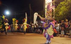 Foto de la galería: Carnaval en San Javier