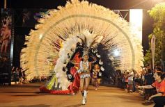 Foto de la galería: Carnaval en San Javier