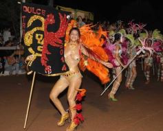 Foto de la galería: Carnaval en San Javier