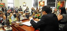 Foto de la galería: Inicio de sesiones ordinarias 2014