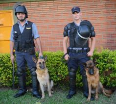 Foto de la galería: Crucero volvió al triunfo ante Sportivo Belgrano