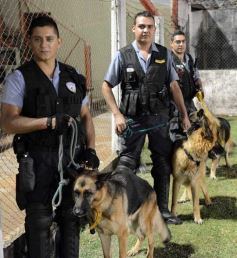 Foto de la galería: Gran Triunfo de Guaraní ante Juventud Unida de Gualeguaychú