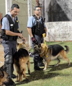 Foto de la galería: Gran Triunfo de Guaraní ante Juventud Unida de Gualeguaychú