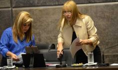 Foto de la galería: Diputados en pleno trabajo