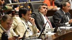 Foto de la galería: Diputados en pleno trabajo