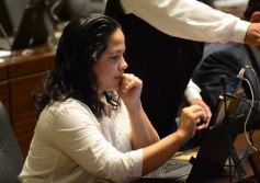 Foto de la galería: Diputados en pleno trabajo
