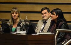 Foto de la galería: Diputados en pleno trabajo