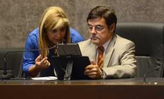 Foto de la galería: Diputados en pleno trabajo
