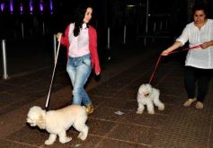 Foto de la galería: Posadas y sus gente