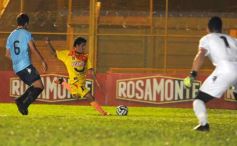 Foto de la galería: Crucero cerró el semestre con una excelente imagen