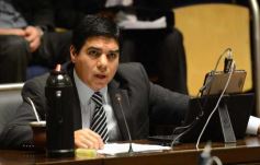Foto de la galería: Homenaje a Mario Losada en Diputados