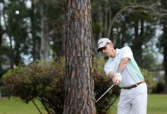 Foto de la galería: Camino a la consagración