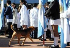 Foto de la galería: Emotiva “Promesa de Lealtad” a la Bandera en el Hogar de Día